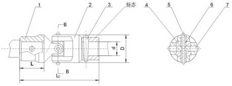 WSD型单十字轴万向联轴器结构图