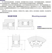 CK-X楔块式单向离合器