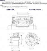 GCZ-C滚柱式单向离合器