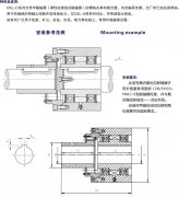 CKL-C楔块式单向离合器