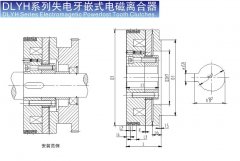 DLYH 失电牙嵌式电磁离